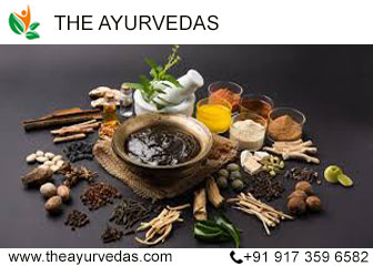 the ayurveda